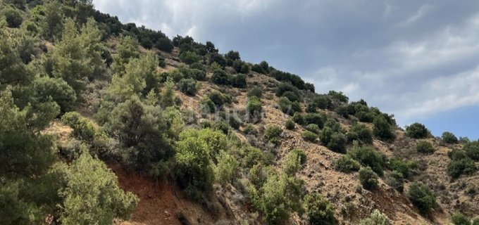 Landwirtschaftliches Baugebiet in Nicosia zu verkaufen