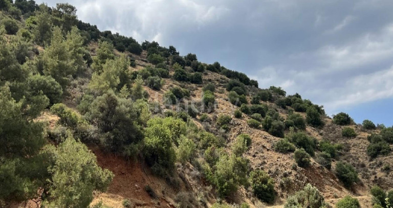 Agricultural field for sale in Nicosia
