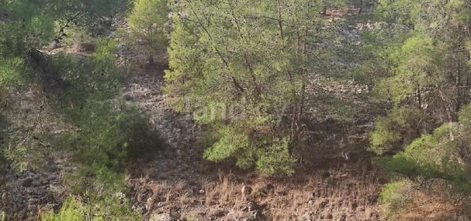 Landwirtschaftliches Baugebiet in Nicosia zu verkaufen