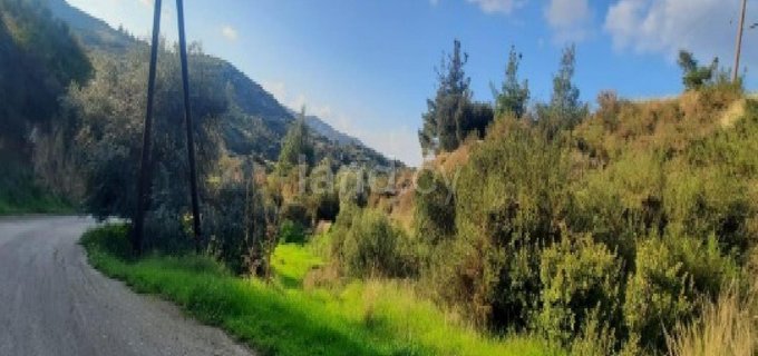 Residential field for sale in Nicosia