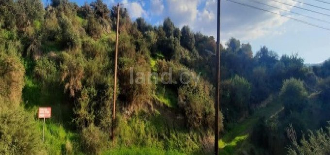 Residential field for sale in Nicosia