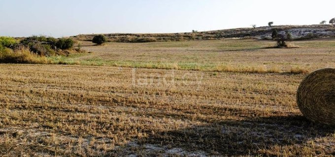 Residential plot for sale in Larnaca