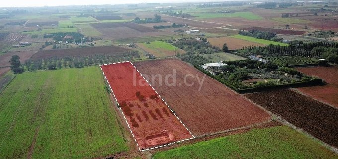 Landwirtschaftliches Baugebiet in Avgorou zu verkaufen