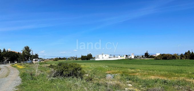 Landwirtschaftliches Baugebiet in Paralimni zu verkaufen