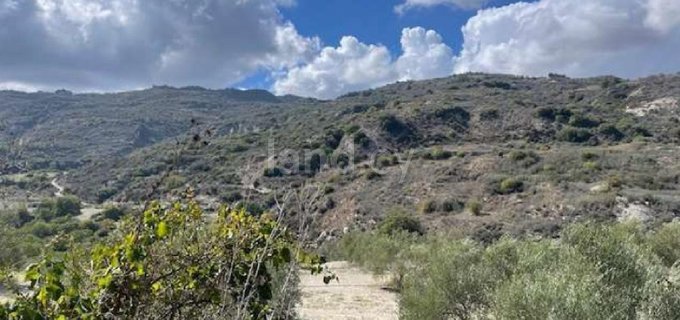 Landwirtschaftliches Baugebiet in Paphos zu verkaufen