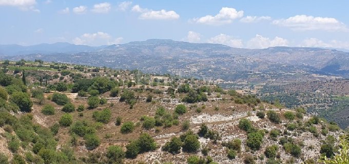 Landwirtschaftliches Baugebiet in Paphos zu verkaufen