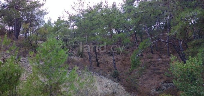 Residential plot for sale in Limassol