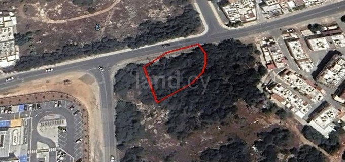 Commercial field for sale in Paralimni