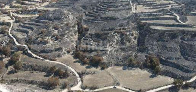 Campo agrícola a la venta en Paphos