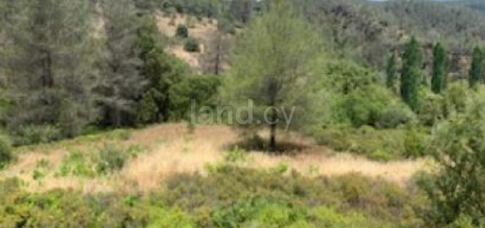 Landwirtschaftliches Baugebiet in Paphos zu verkaufen