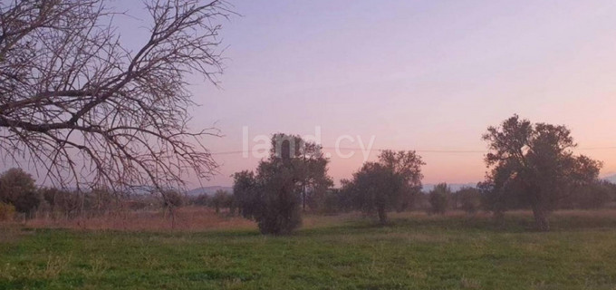 Landwirtschaftliches Baugebiet in Nicosia zu verkaufen