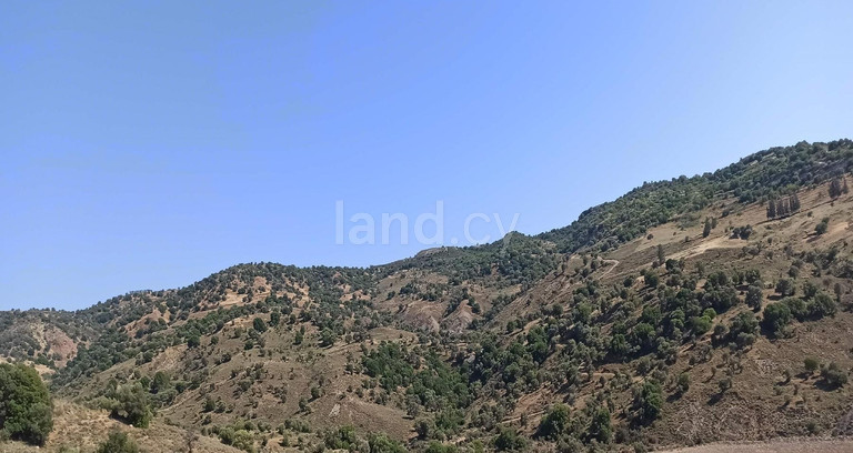 Αγροτικό αγροτεμάχιο προς πώληση - Πάφος