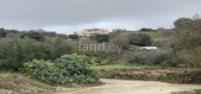 Agricultural field for sale in Paphos