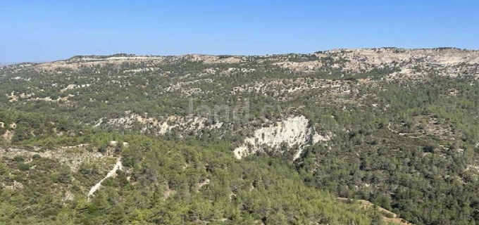 Landwirtschaftliches Baugebiet in Limassol zu verkaufen