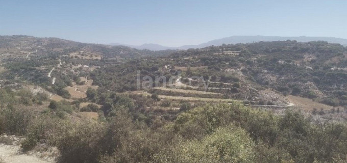 Landwirtschaftliches Baugebiet in Paphos zu verkaufen