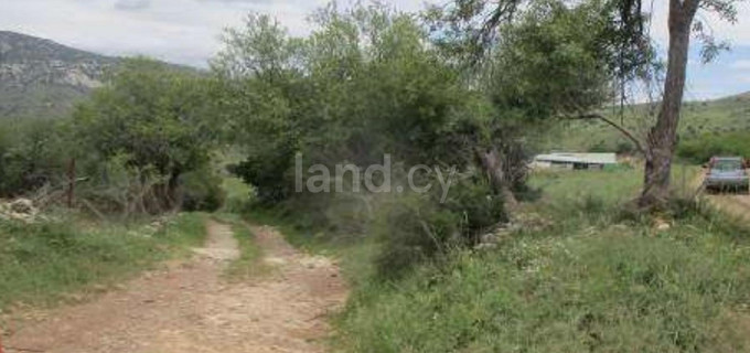 Agricultural field for sale in Paphos