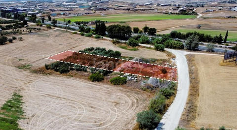 Agricultural field for sale in Larnaca