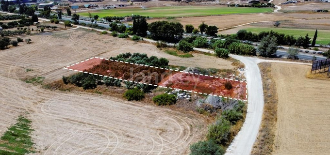 Agricultural field for sale in Larnaca