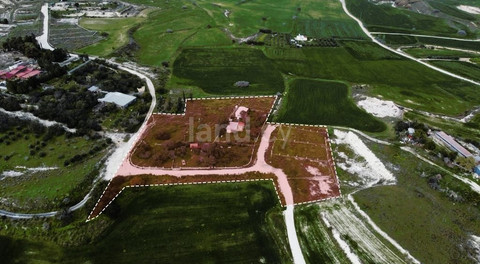 Agricultural field for sale in Larnaca