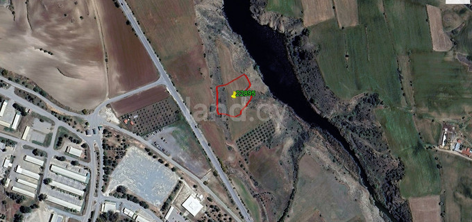 Agricultural field for sale in Nicosia