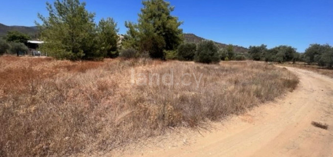 Agricultural field for sale in Nicosia