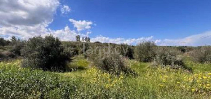 Landwirtschaftliches Baugebiet in Nicosia zu verkaufen