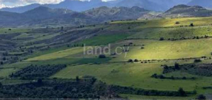 Terrain agricole à vendre à Nicosie