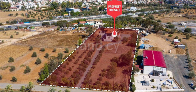 Commercial field for sale in Nicosia