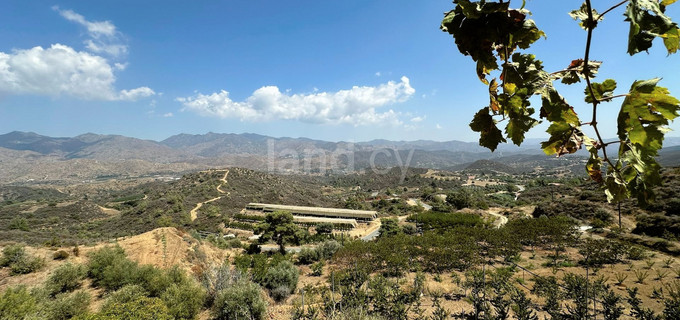 Terrain agricole à vendre à Limassol