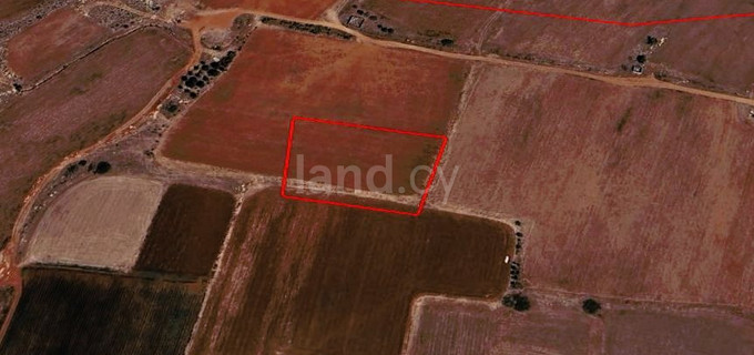 Agricultural field for sale in Frenaros