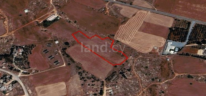 Agricultural field for sale in Frenaros