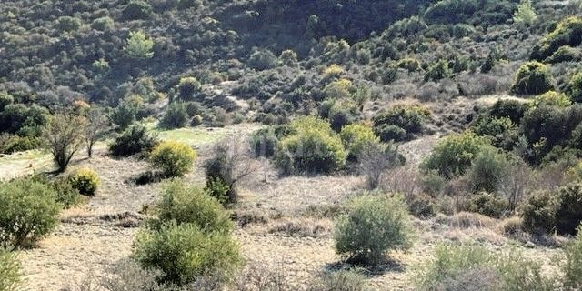 Landwirtschaftliches Baugebiet in Limassol zu verkaufen