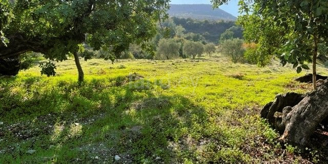 Landwirtschaftliches Baugebiet in Limassol zu verkaufen