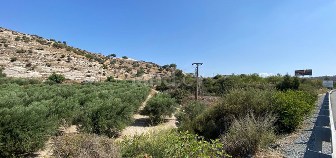 Αγροτικό αγροτεμάχιο προς πώληση - Λεμεσός