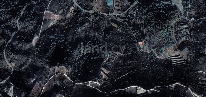 Terrain agricole à vendre à Limassol