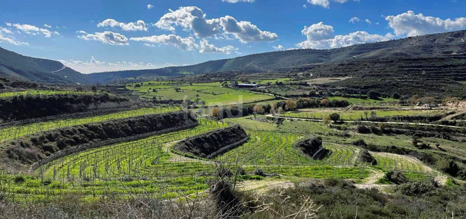 Terrain résidentiel à vendre à Limassol