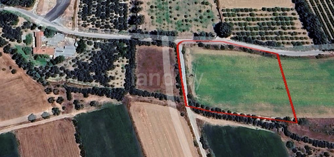 Campo agrícola a la venta en Limassol