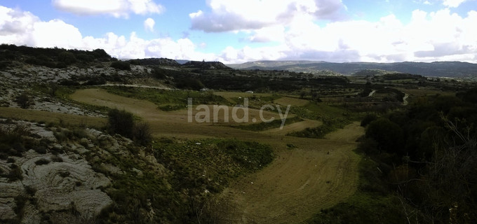 Agricultural field for sale in Paphos