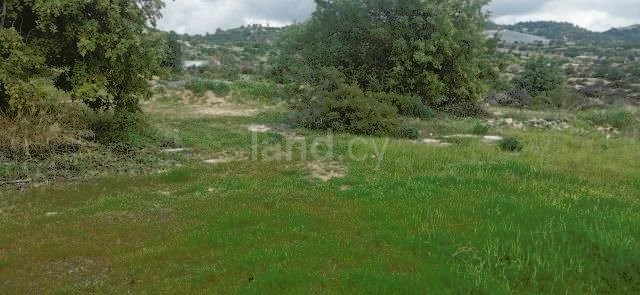 Field for sale in Limassol