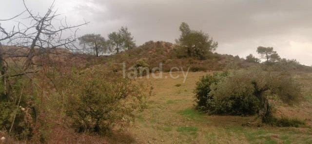 Field for sale in Limassol