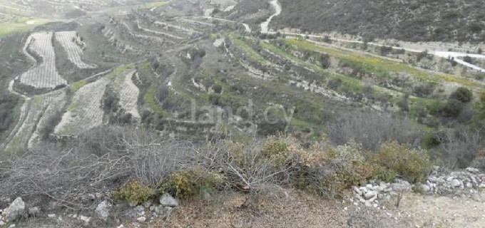 Terrain agricole à vendre à Limassol