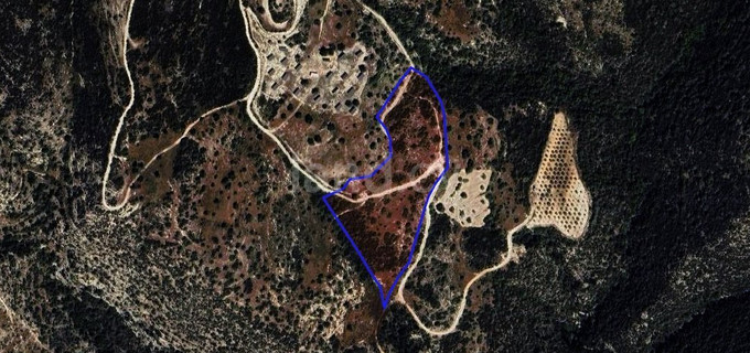 Campo agrícola a la venta en Paphos