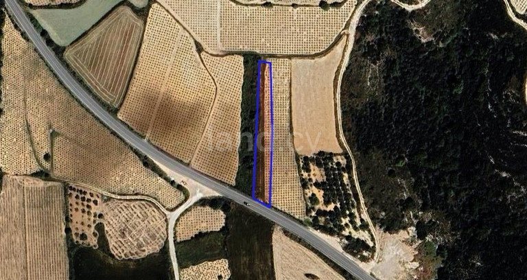 Terrain agricole à vendre à Paphos
