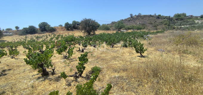 Campo a la venta en Limassol