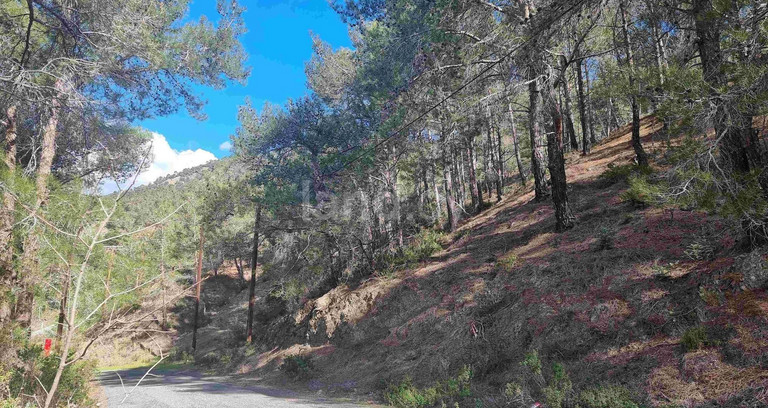 Parcelle résidentielle à vendre à Limassol