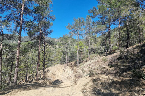 Residential plot for sale in Limassol