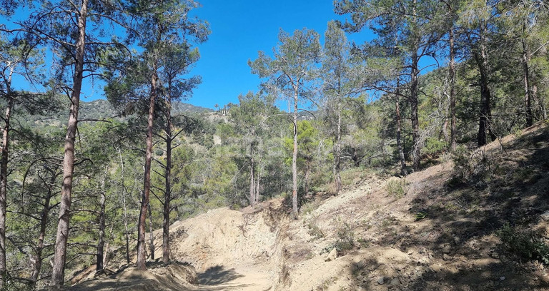 Residential plot for sale in Limassol