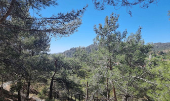 Tomt avsedd för boende till salu i Limassol