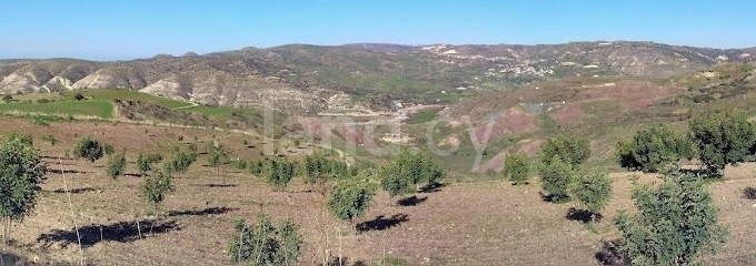 Terrain agricole à vendre à Paphos