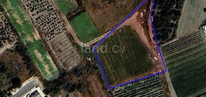 Residential plot for sale in Paphos